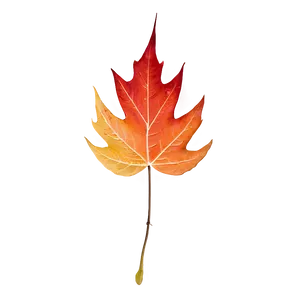 Stylized Fall Leaf Png Far1 PNG image
