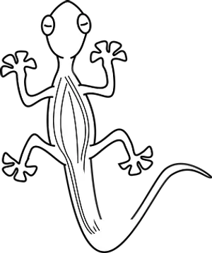 Stylized Gecko Silhouette PNG image