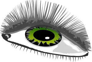 Stylized Green Eye Illustration PNG image