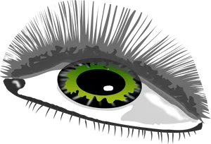 Stylized Green Eyewith Long Eyelashes PNG image
