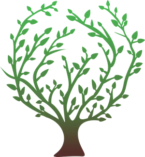 Stylized Green Tree Vector PNG image