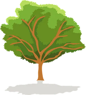 Stylized Green Tree Vector