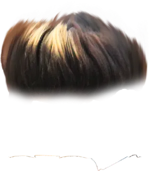 Stylized_ Hair_ Closeup PNG image