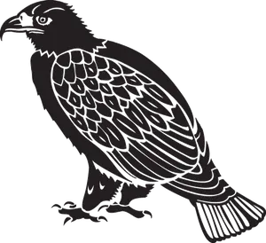 Stylized Hawk Illustration PNG image