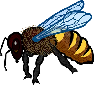 Stylized Honeybee Illustration