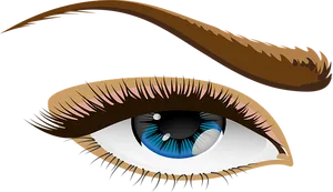 Stylized Human Eye Illustration PNG image