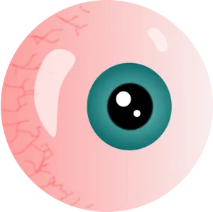Stylized Human Eyeball Illustration.jpg PNG image
