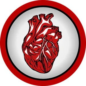 Stylized Human Heart Illustration