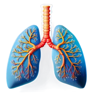 Stylized Human Lungs Png 05232024 PNG image