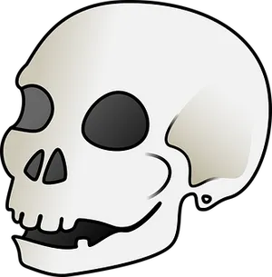 Stylized Human Skull Graphic PNG image