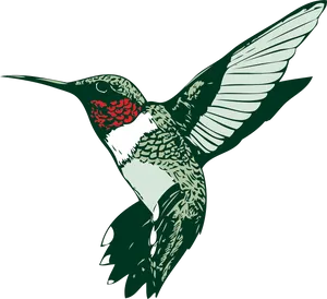 Stylized Hummingbird Illustration PNG image