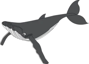 Stylized Humpback Whale Illustration