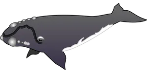 Stylized Humpback Whale Illustration PNG image