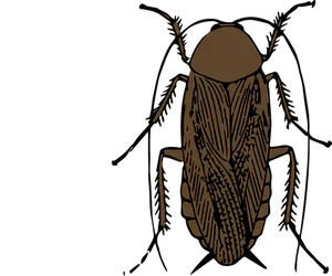 Stylized Insect Illustration