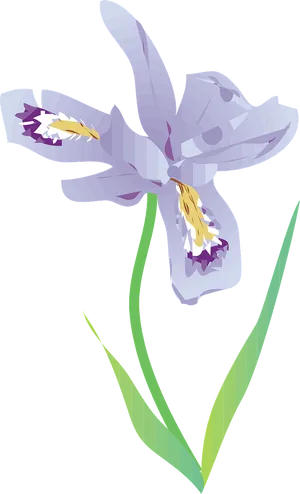 Stylized Iris Flower Illustration PNG image