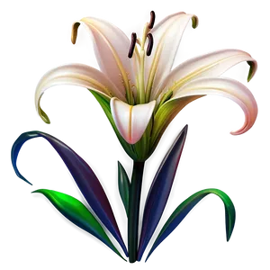 Stylized Lily Flower PNG 46 PNG