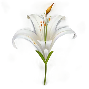 Stylized Lily Flower PNG 49