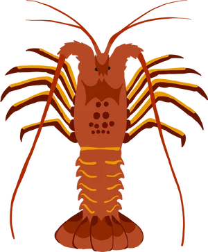 Stylized Lobster Illustration PNG image