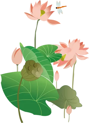 Stylized Lotus Flowersand Dragonfly PNG image