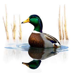 Stylized Mallard Duck PNG Gdq97