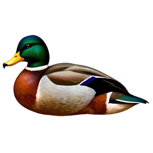 Stylized Mallard Duck PNG Nom96 PNG