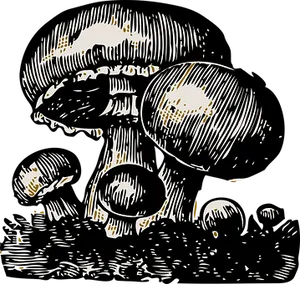 Stylized Mushroom Illustration PNG image