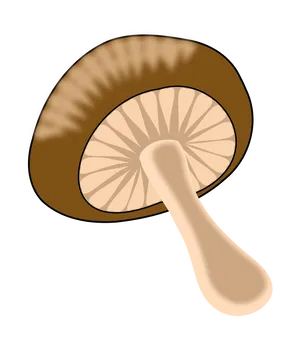 Stylized Mushroom Illustration PNG image