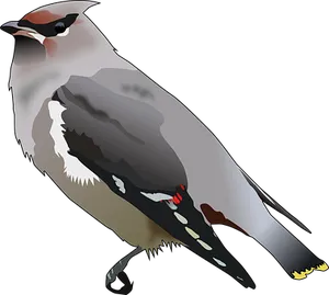 Stylized Northern Cardinal Illustration