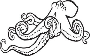 Stylized Octopus Graphic