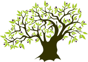 Stylized Olive Tree Illustration PNG image