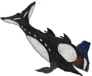 Stylized Orca Drawing PNG image