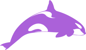 Stylized Orca Graphic PNG image