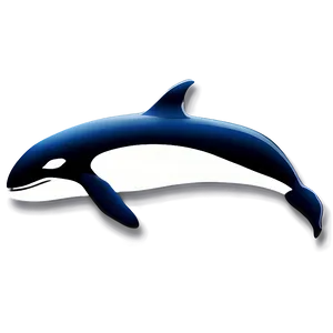 Stylized Orca Whale Icon Png 35 PNG image