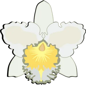 Stylized Orchid Illustration PNG