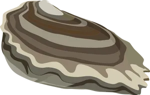 Stylized Oyster Illustration PNG image
