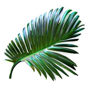 Stylized Palm Leaves PNG 56 PNG