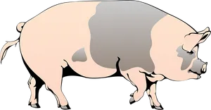 Stylized Pig Illustration PNG