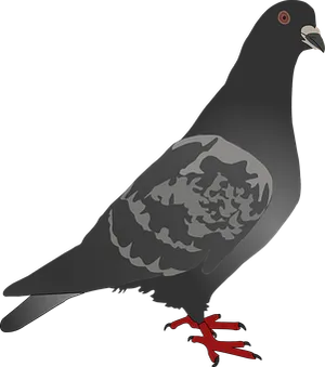 Stylized Pigeon Illustration PNG image