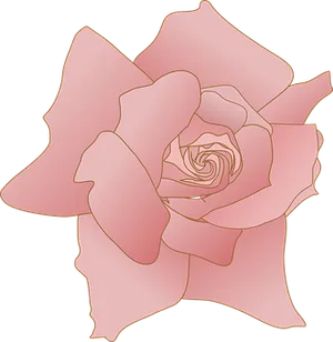 Stylized Pink Rose Illustration