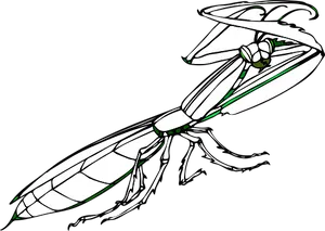 Stylized Praying Mantis Illustration PNG image