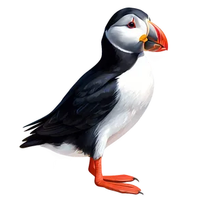 Stylized Puffin Graphic PNG 06292024