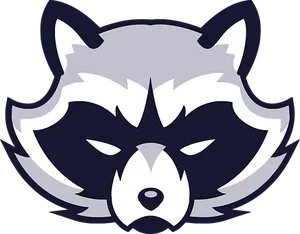 Stylized Raccoon Graphic