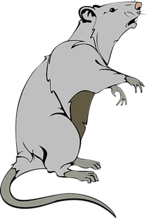 Stylized Rat Illustration PNG image