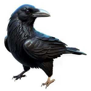 Stylized Raven PNG 05062024
