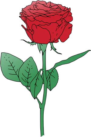 Stylized Red Rose Illustration PNG image