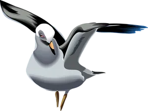 Stylized Seagull Illustration PNG image