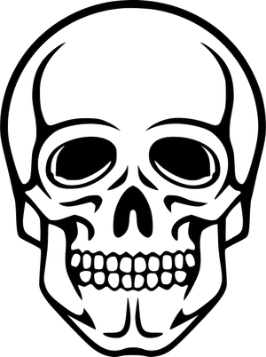 Stylized Skull Line Art PNG image