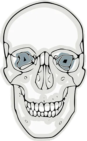 Stylized Skullwith Sunglasses