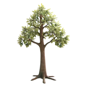 Stylized Small Tree PNG 06132024