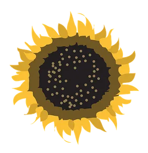 Stylized Sunflower Graphic